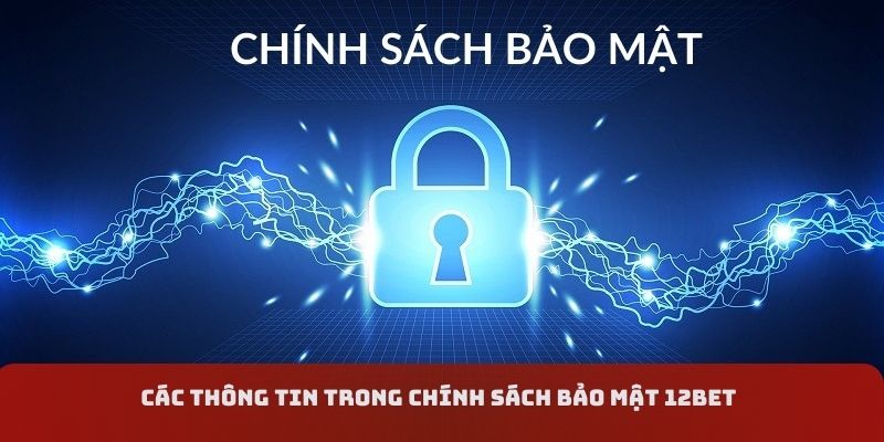 Các thông tin nằm trong chính sách bảo mật 